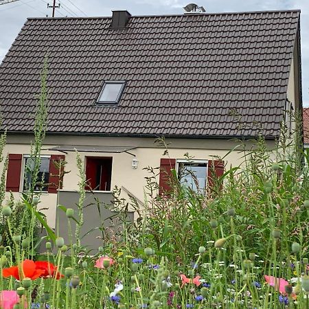 Ferienhaus Bei Lauingen, Mit Sauna Und Gartenlounge Veitriedhausen Buitenkant foto