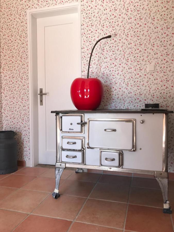 Ferienhaus Bei Lauingen, Mit Sauna Und Gartenlounge Veitriedhausen Buitenkant foto