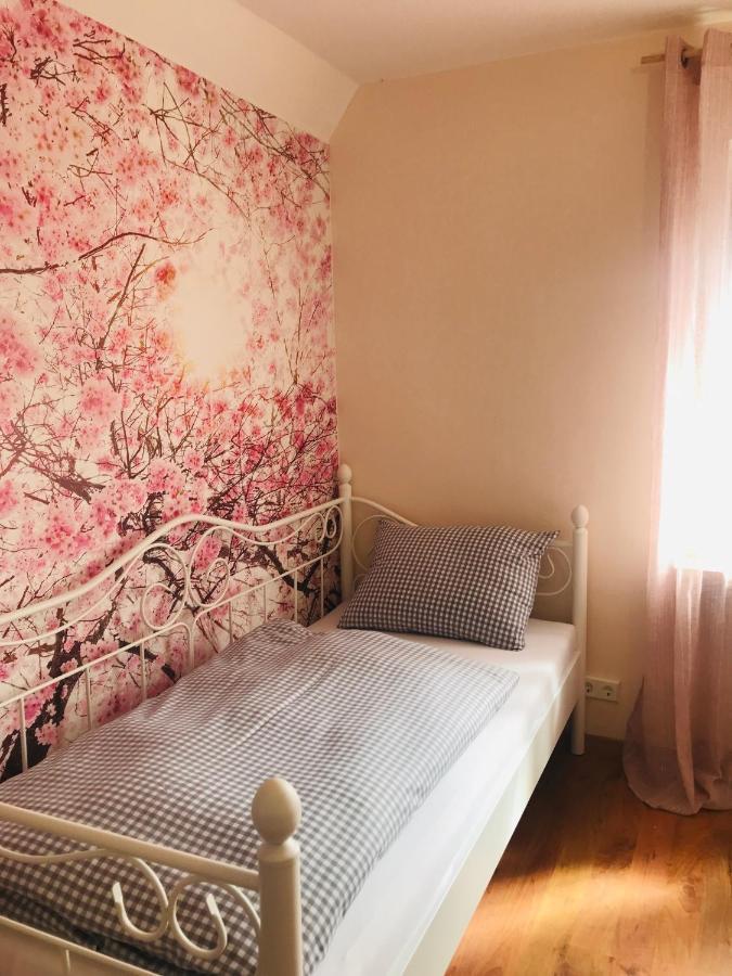 Ferienhaus Bei Lauingen, Mit Sauna Und Gartenlounge Veitriedhausen Buitenkant foto
