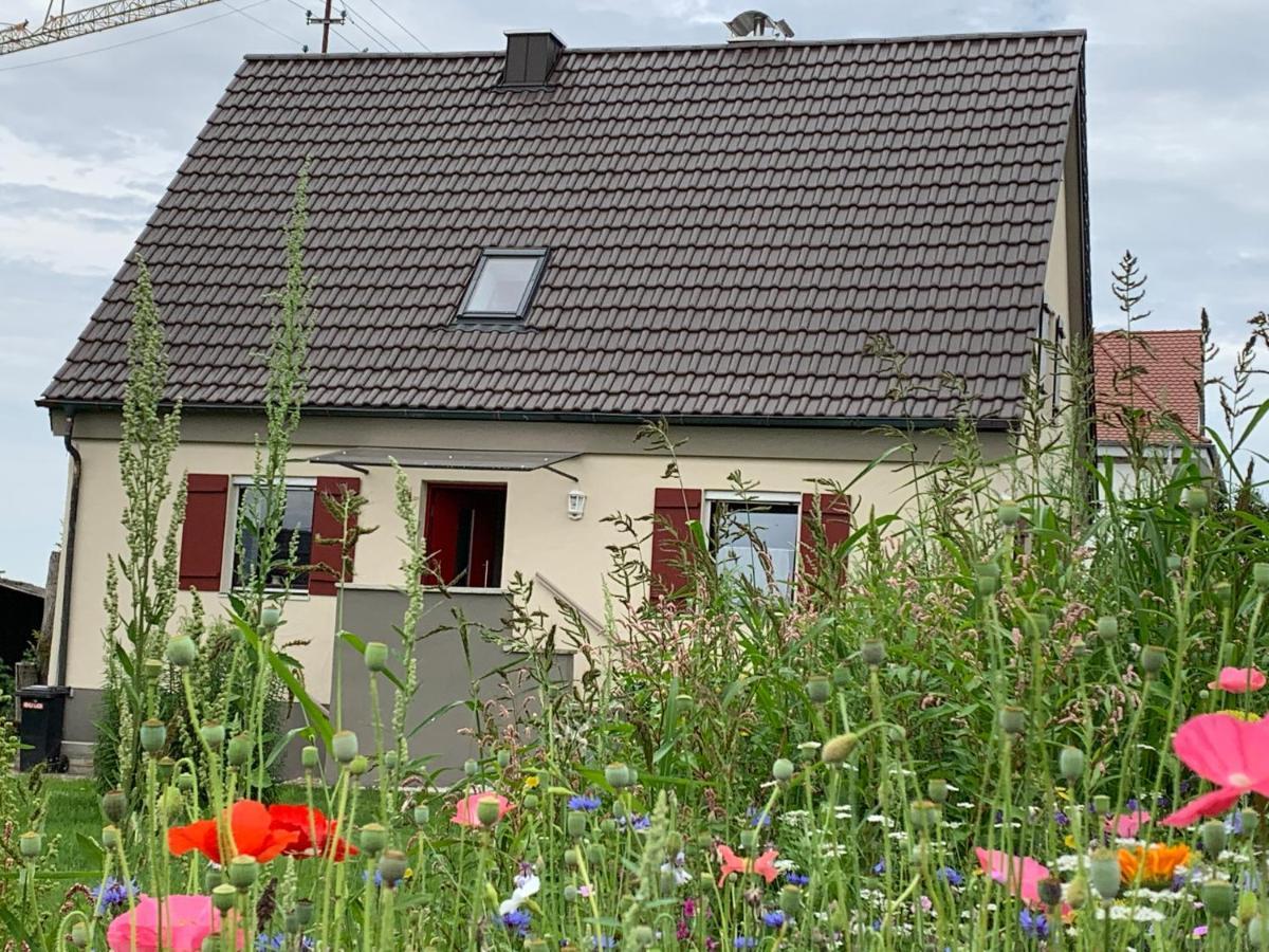 Ferienhaus Bei Lauingen, Mit Sauna Und Gartenlounge Veitriedhausen Buitenkant foto